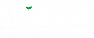 dnt-trading